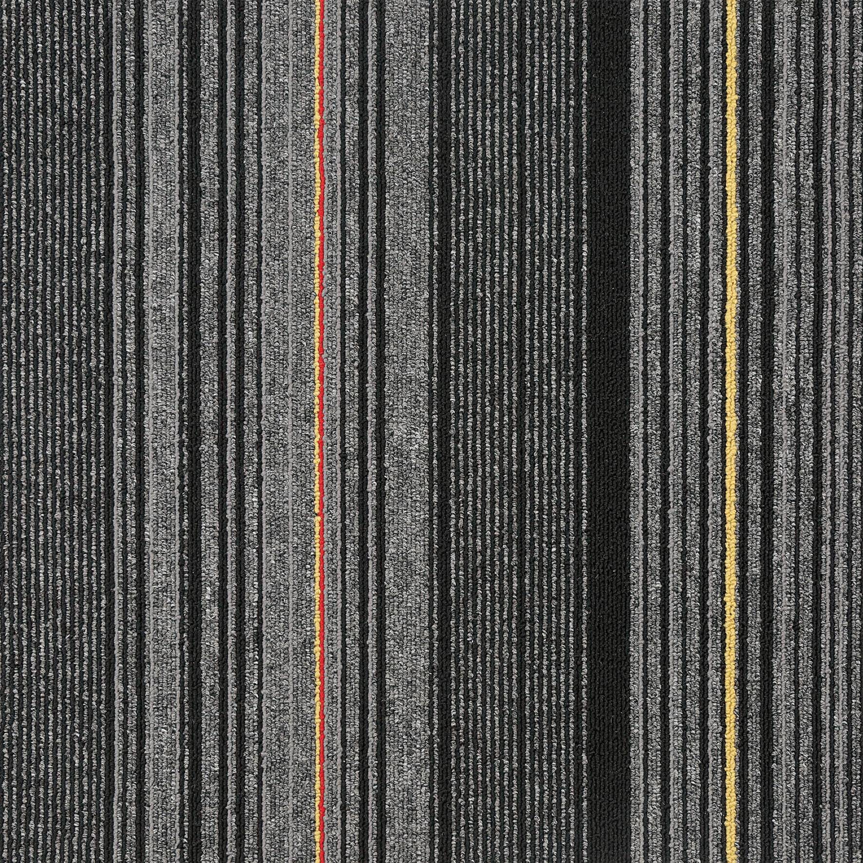 Novara-08