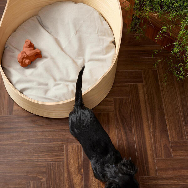 Chateau Walnut Brown