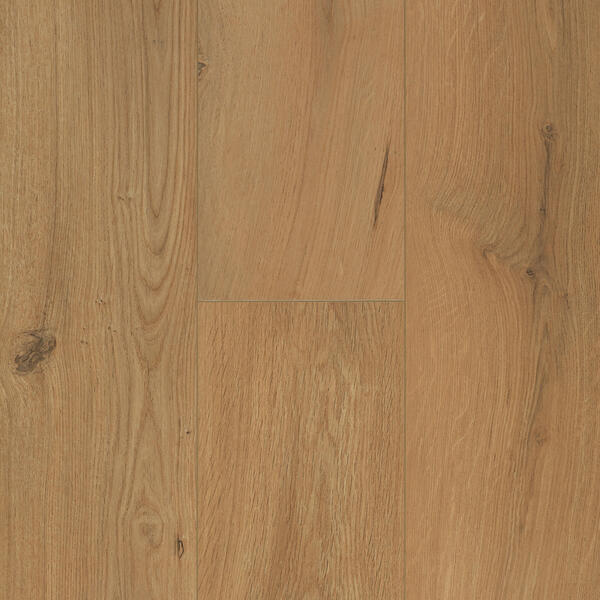 Ocean 12 V4 Gyant Warm Natural