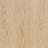 Ocean 8 V4 Charme Light Natural